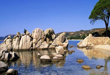 米乐官方网址 -奥兰多魔术vs洛杉矶快船